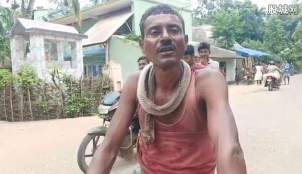 印度男子干农活被眼镜蛇咬伤 反咬回去将其咬死挂脖子上街炫耀