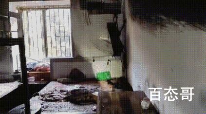杭州一居民出门没拔充电线 家被烧了 背后的真相让人无奈