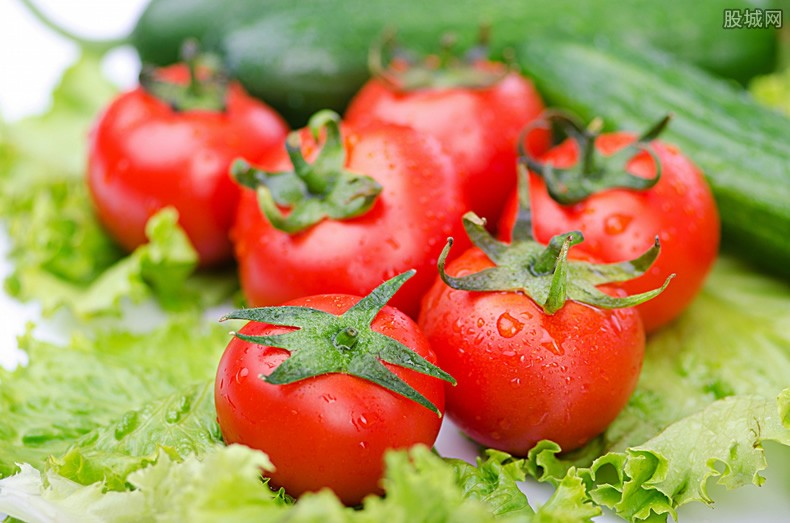 丹麦巨头宣布今冬停产西红柿和黄瓜 15年首次停产