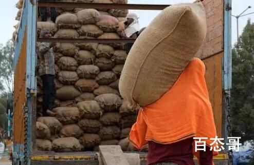 印度最新大米禁令会影响中国吗 究竟是怎么一回事