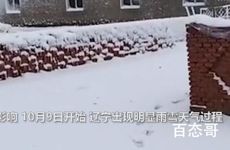 辽宁多地大雪 积雪深处没过脚踝 注意出行安全!