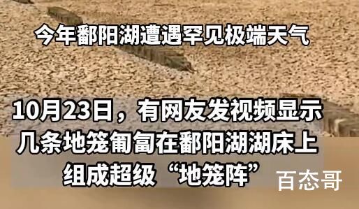 官方回应鄱阳湖现巨型“地笼阵” 这些地笼阵是谁留下的