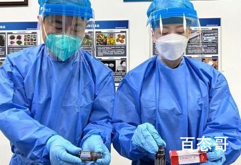 广州海关查获新型毒品“听话水” 这些听话水都有哪些成分