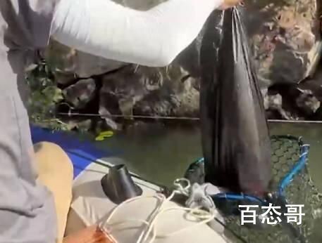 男子钓鱼救下被裹塑料袋扔河里的猫 不养别伤害