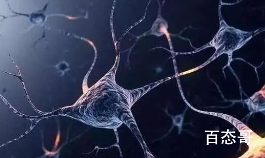 首次证明人脑细胞在体外也有智力 是不是可以实现只要脑细胞不死人的思想就可以一直存活？