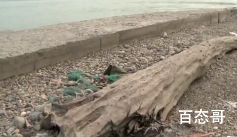 重庆嘉陵江现巨大阴沉木 有盗割痕迹 无主之物何谈偷盗？