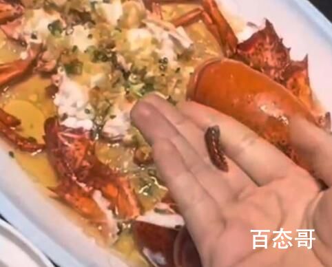 食客点龙虾做记号上菜后发现被换 应该是新鲜的活的都是放在鱼缸那里吸引人用的