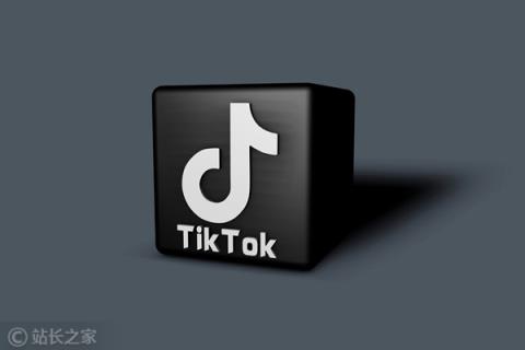 Tiktok 计划扩大加州团队人数  或正联系前推特和Meta工程师