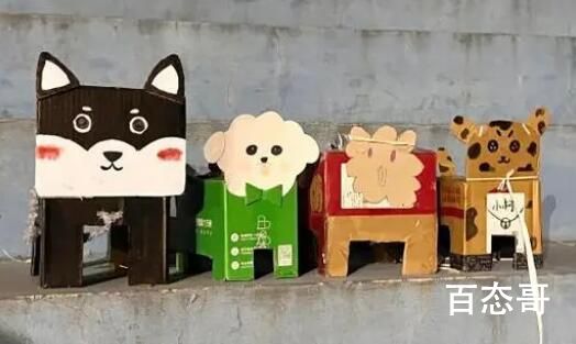 “纸盒狗”风靡中国高校 这个丢弃了一准有人回收